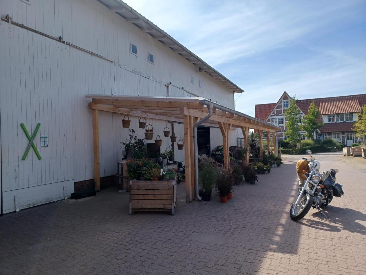 Ferienwohnung Am Elbstrom Stade Eksteriør bilde